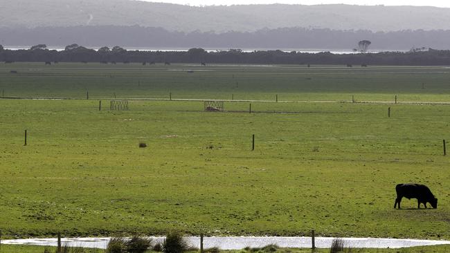 The proposed site of the Robbins Island wind farm development from Bevan Anderson's property at Montague. PICTURE CHRIS KIDD