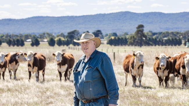 Arthur Angliss bought cattle from the High country cattle sales recently at Ensay.