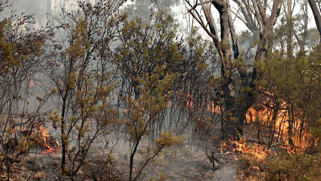 Fire on Mt Wilson Rd on December 16. Picture: Photographer: Adam Yip