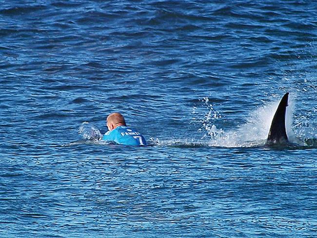 In this screen grab from footage by the World Surf League, Mick Fanning of Australia is attacked by a Shark at the Jbay Open on July 19, 2015 in Jeffreys Bay, South Africa. (Photo by WSL/WSL via Getty Images)
