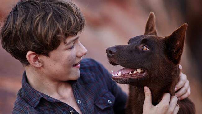 Return of Red Dog ... Rising star Levi Miller swaps Hugh Jackman for our nation’s most famous canine in Red Dog: True Blue. (Roadshow)