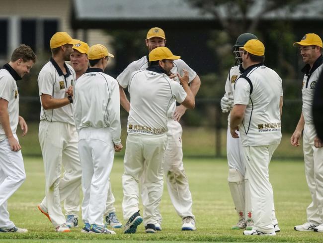 Seaford Tigers celebrate a wicket. Picture: Valeriu Campan