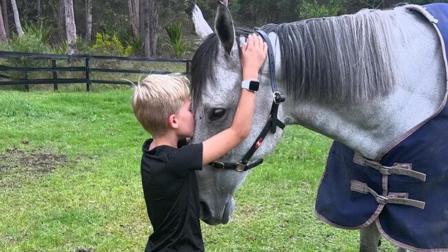 Classique Legend is enjoying life at Kerrin McEvoy's farm.