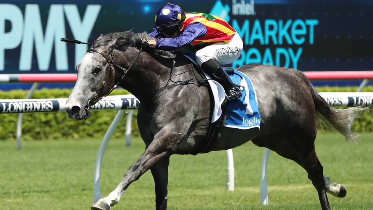 Ascension has been well supported to win the Ajax Stakes at Rosehill. Picture: Getty Images