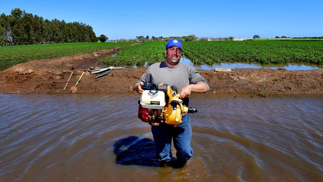 Virginia vegetable farmer Mark Ciampa used a pump to remove water from his flooded fields during the 2016 floods. Picture: Mark Brake