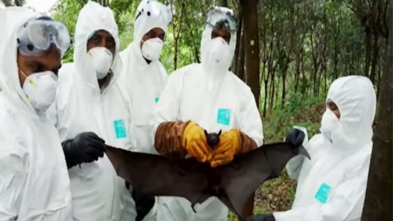 Nipah virus outbreak in India sparks growing concern