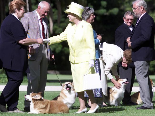 ##### ALERT ALERT ##### BEFORE REUSE OF THIS IMAGE CHECK CONTENT AND COPYRIGHT ISSUES WITH THE /PICTURE /DESK- D/I. 27 Feb 2002 Queen Elizabeth meets members of Adelaide Hills Kennel Club (L-R) Ken Mansfield and dog, Rocky, Cheryl Sheppard and dog, Jimmy Harry Paynter and dog, Bobby, Dee Paterson (dog obscured Sophy) (Bending) Colleen Webb and dog, Wade, Wilf Purchase and dog, Ruby (partly obscured) and Bill Godfrey. at Govenment House in Adelaide, SA. . PICBRETT/HARTWIG royalty britain shaking hands royal visit animals dogs corgis corgi