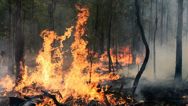 A fire has started on Fraser Island.