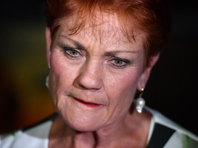 One Nation leader Senator Pauline Hanson speak to the media as she leaves the campaign party house in Buderim on the Sunshine Coast, Saturday, November 25, 2017. (AAP Image/Mick Tsikas) NO ARCHIVING