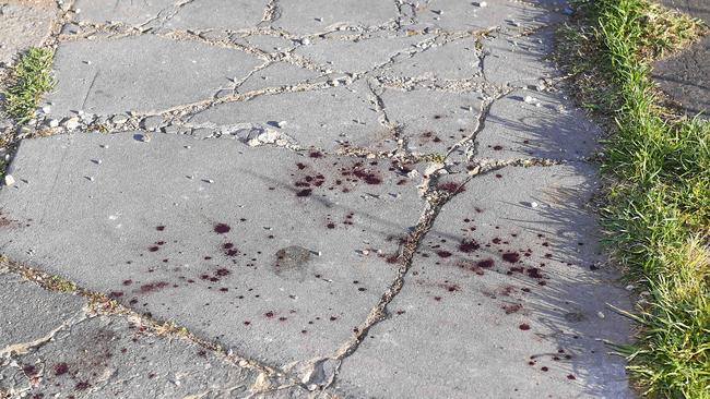 Blood stains at the house where Mr Torrans died. Picture Mark Brake