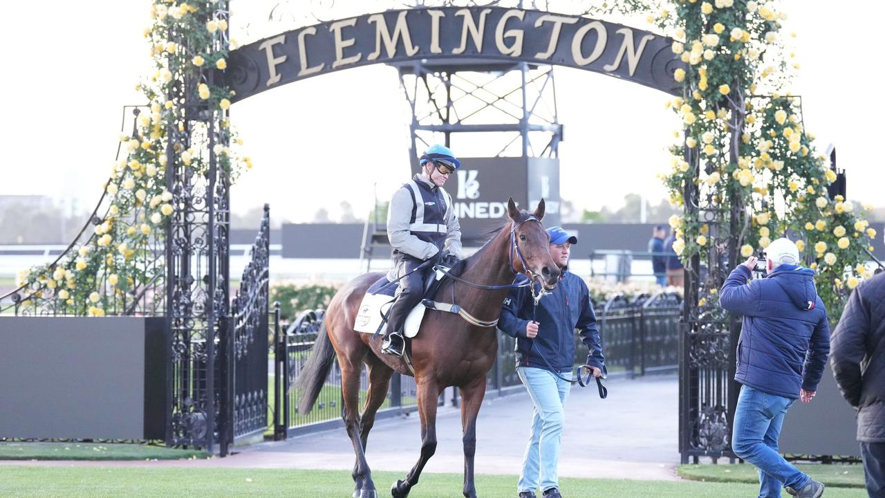 French import Lastotchka has been backed to win big. (Photo by Scott Barbour/Racing Photos via Getty Images)