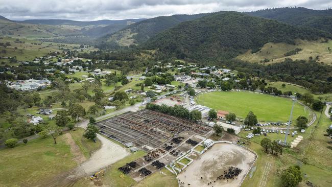 The Mountain Calf Sales are held in March each year. Picture: Zoe Phillips