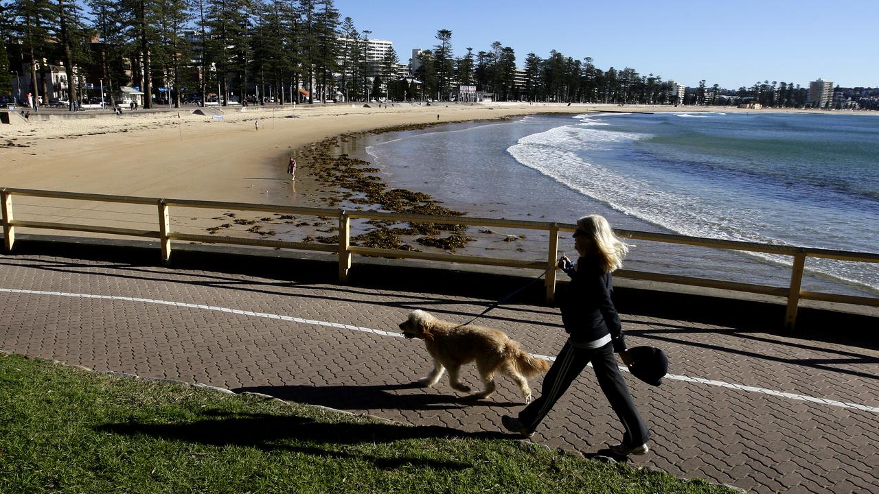 Melbourne has a number of parks for dog lovers to enjoy.