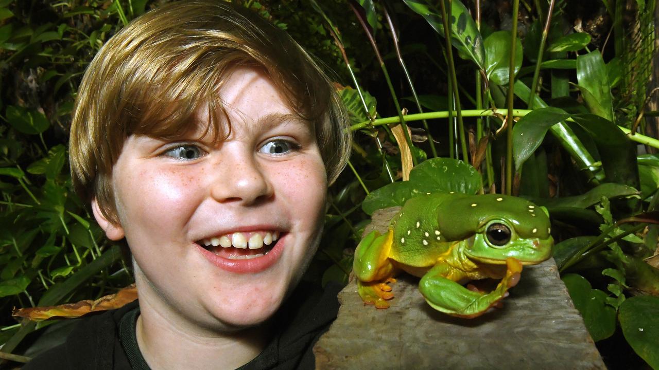 Frog ID Week Use a phone app to join SA’s great frog census