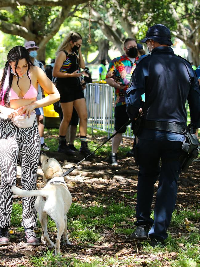 New data has revealed that sniffer dogs are wrong more often than they’re right. Picture: Newscorp Daily Telegraph/Gaye Gerard.