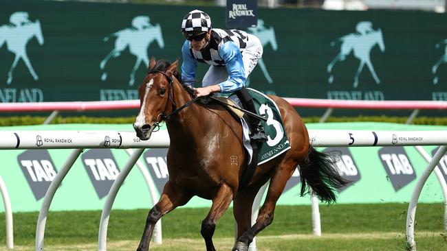 SYDNEY, AUSTRALIA - OCTOBER 05: Chad Schofield riding Bel Merci wins Race 3 Keeneland Gimcrack Stakes during Sydney Racing at Royal Randwick Racecourse on October 05, 2024 in Sydney, Australia. (Photo by Jeremy Ng/Getty Images)