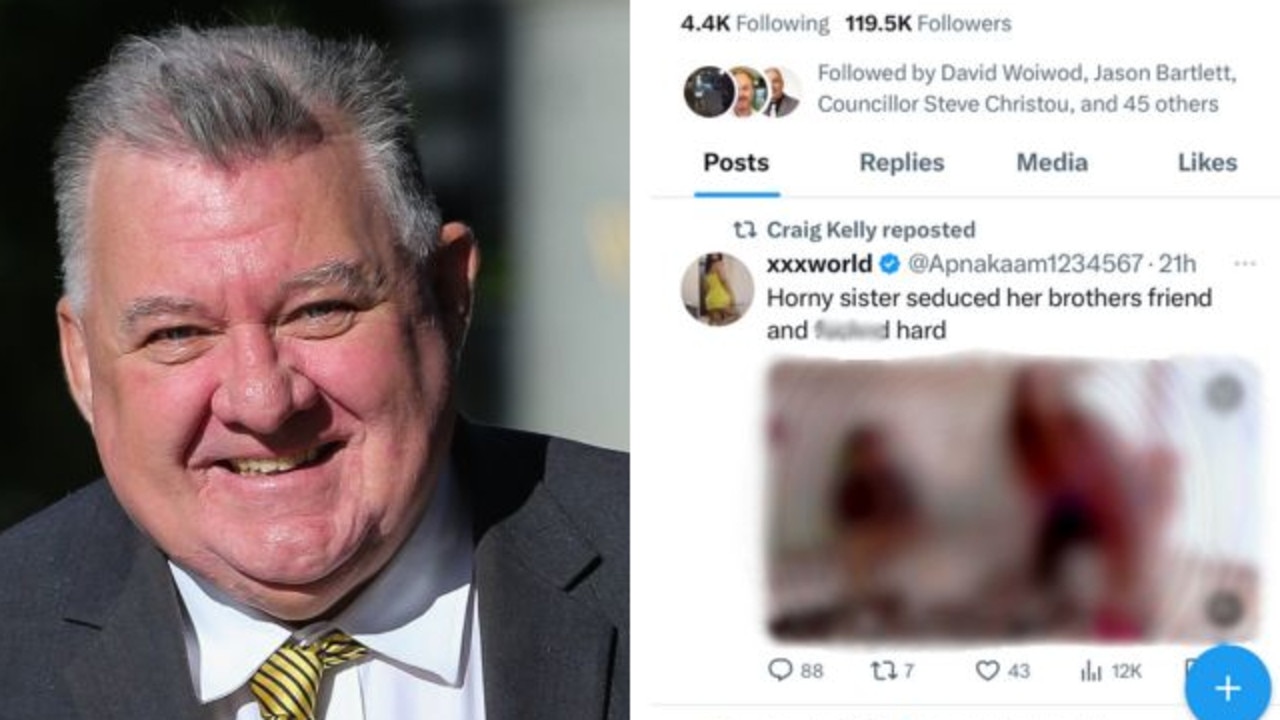 Former MP Craig Kelly shares porn on social media | Daily Telegraph