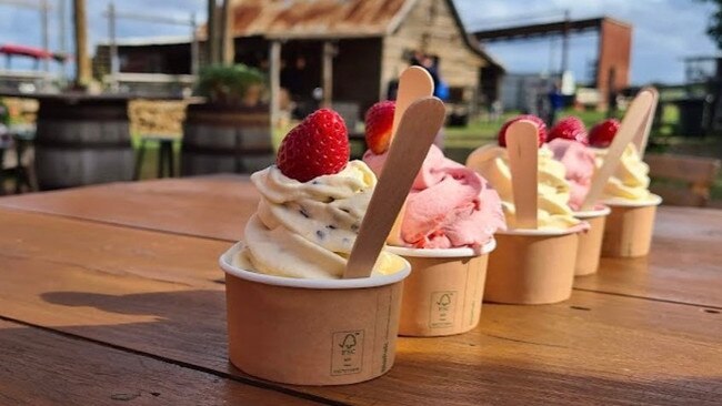 Farm fresh ice cream served up daily at Tinaberries. Photos: Tinaberries