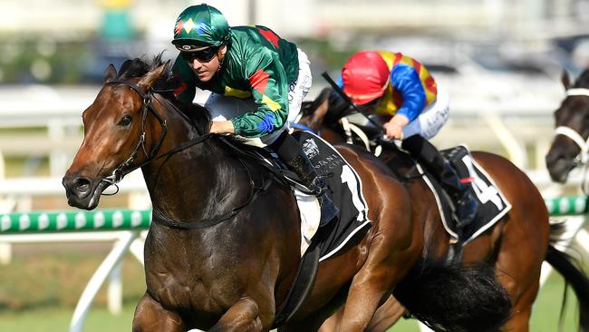 Alligator Blood was a class above his rivals in the Gold Edition Plate. Picture: AAP