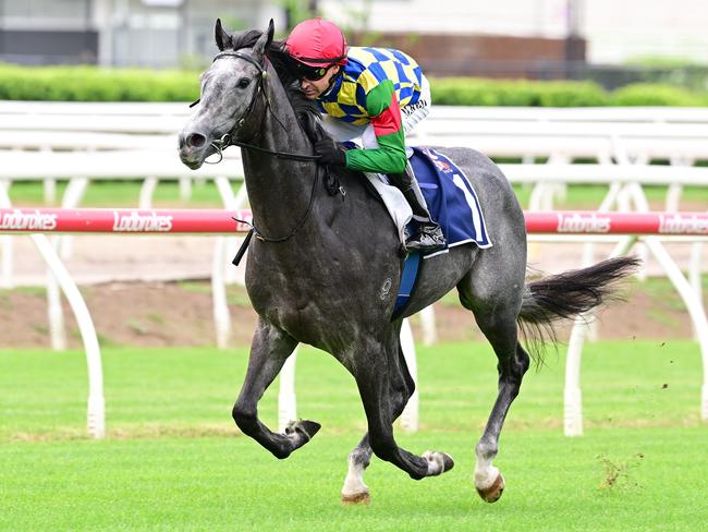 Boom Queensland two-year-old Can't Recall This wins in explosive fashion at Eagle Farm for jockey Michael Rodd and trainer Stuart Kendrick. Picture: Grant Peters, Trackside Photography.,