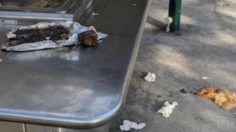 Shock after inner-city public BBQ left a disgrace. SNAYLAM