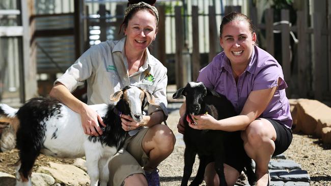 Smithfield Early Learning Centre director Kim Dunbar (right) with Lulu and Poppy, the centre’s miniature goats. Picture: Brendan Radke.