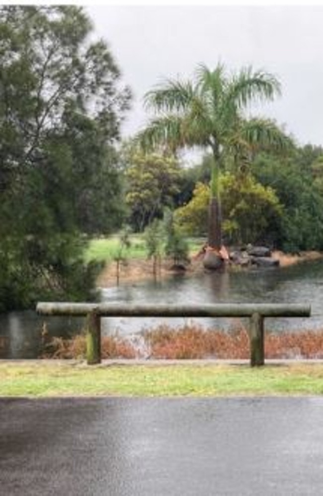 The Beach Milieu Urban Wetland will be on the agenda of the Bundaberg council’s first meeting of 2025.