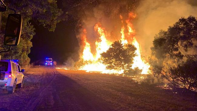 CFS battle the Cherry Gardens bushfire from the ground. Picture: Alex Thomson