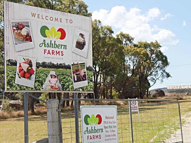 SWEET DEAL: Ashbern Farms in Stanthorpe is one of several strawberry growers on the Granite Belt who contribute to the 6-15,000 tonnes of fruit produced per season.