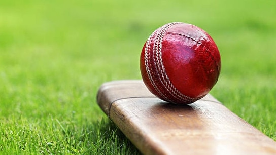 Cricket ball resting on a cricket bat on green grass of cricket pitch