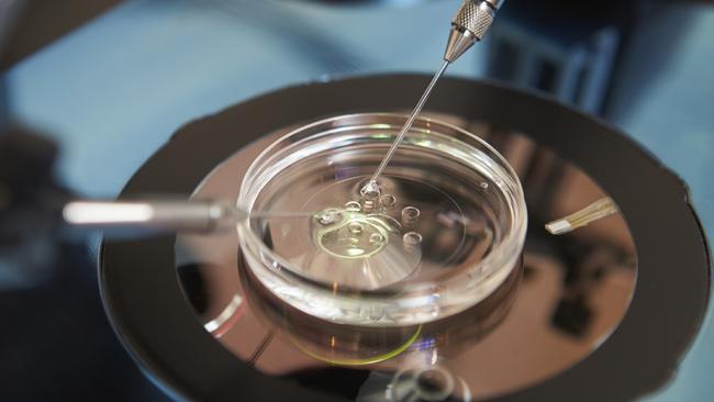 For women starting IVF, 33 per cent have a baby as a result of their first cycle, increasing to 54-77 per cent by the eighth cycle, according to UNSW research. Picture: iStock.