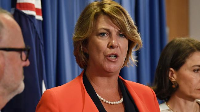 Roads Minister Melinda Pavey. Picture: (AAP Image/David Moir)