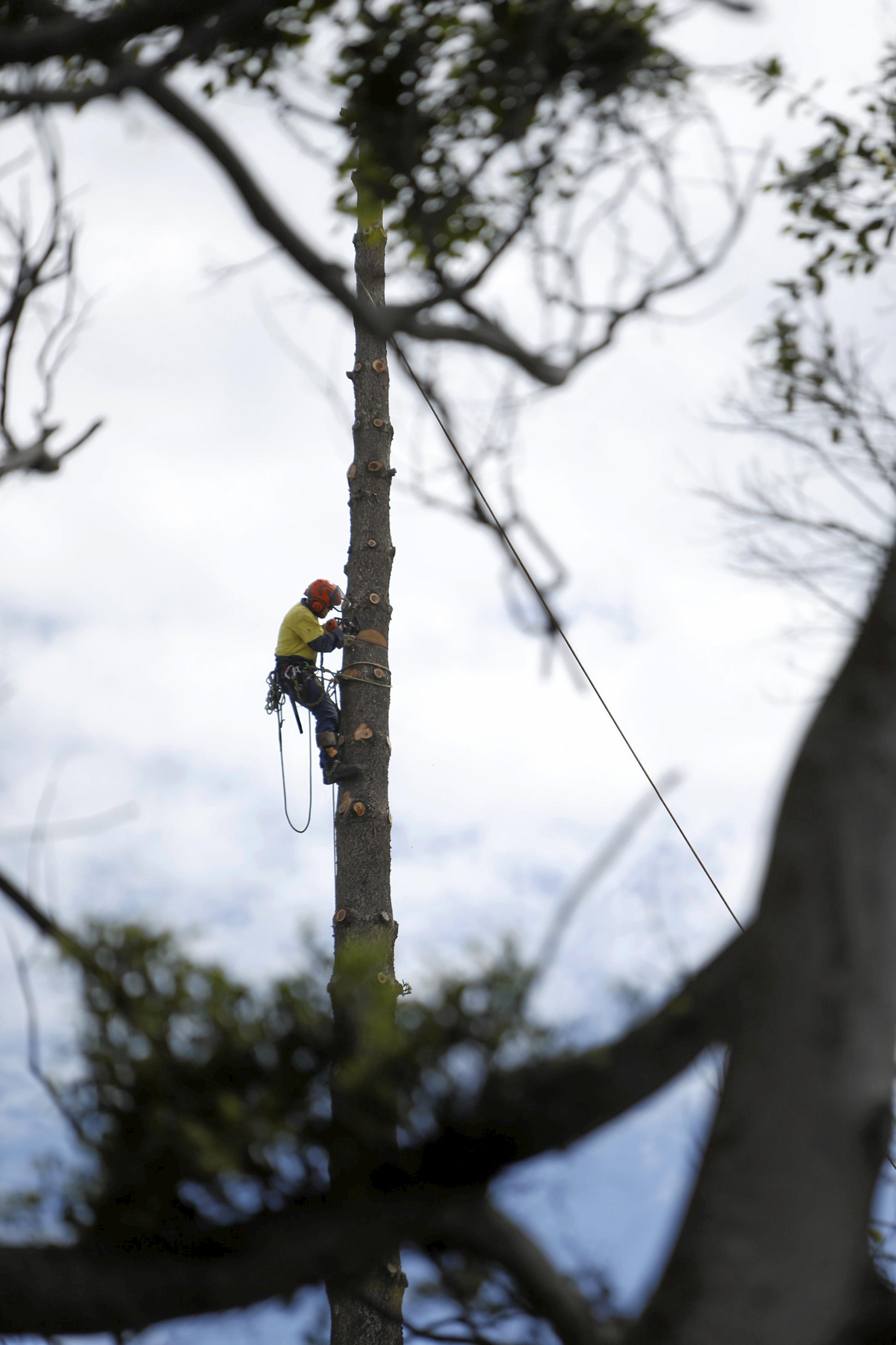 Council begins work on refurbishing Lions Park on the beachfront at Kingscliff. Picture: Richard Mamando