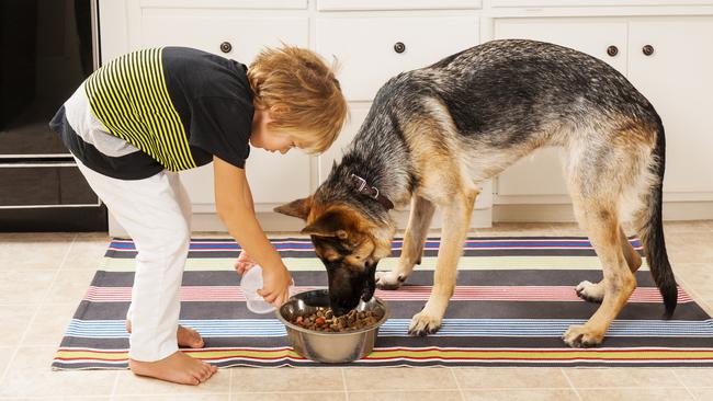 Ebos has moved on from its plans to buy pet care business Greencross after it was to require a $2bn equity raising. Picture: iStock