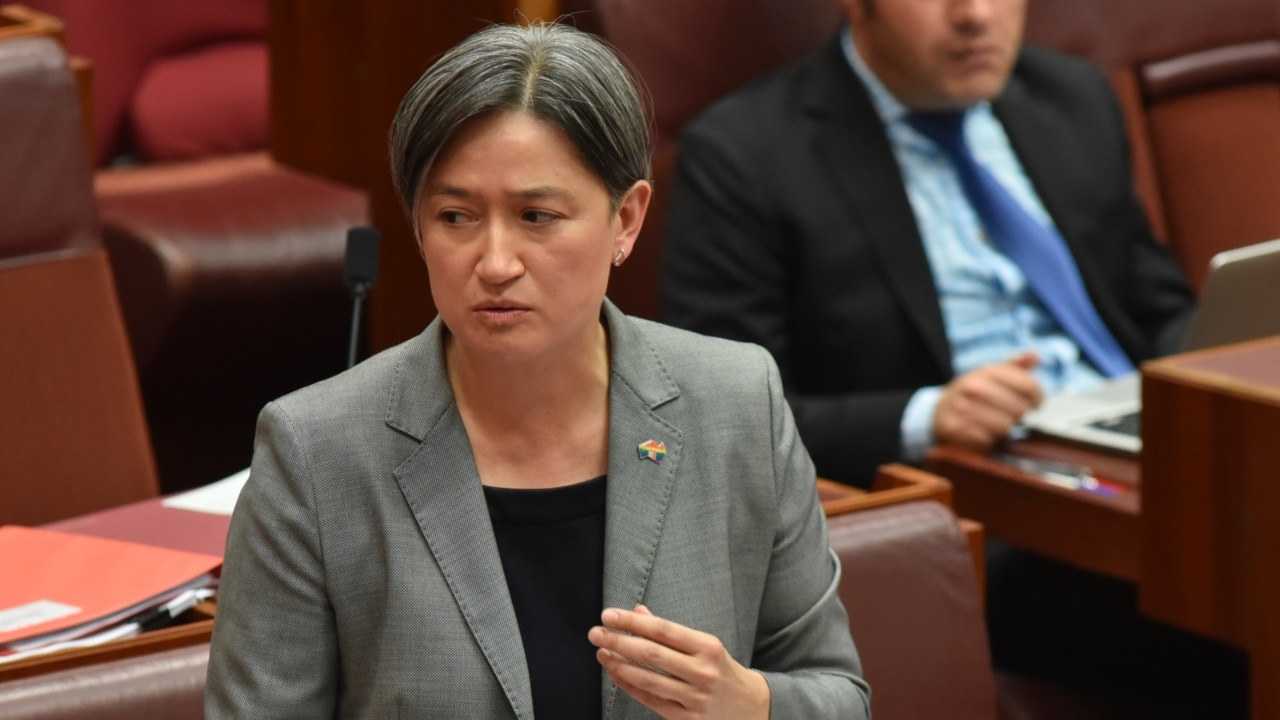 Penny Wong ‘mocked’ for British colonial history speech: Panahi