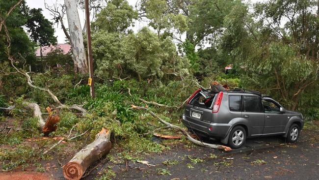 Storm damage along Keith Rd, Blackwood. Picture: Keryn Stevens