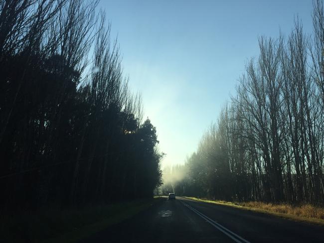 Kristie Evans, of Currans Hill, took this early morning shot in Menangle. #SnapSydney2016 #SnapSydney #SnapMacarthur