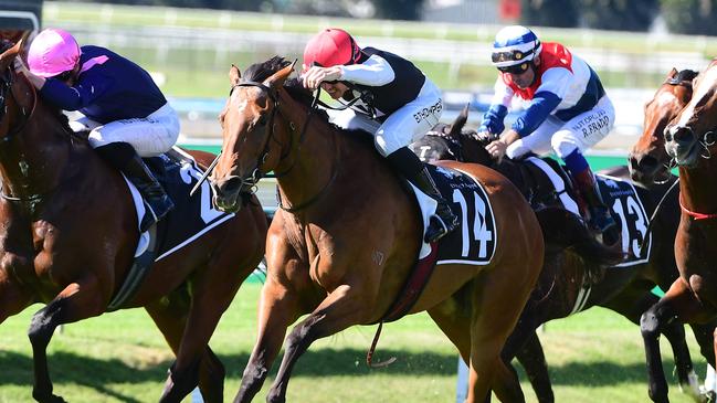 A wide draw is ideal for Glitter Strip in race 7. Picture: Trackside Photography