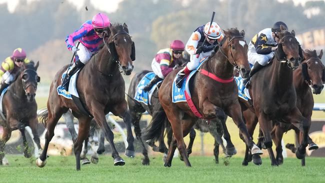 Nicolini Vito roared to victory from the eye-catching comeback galloper Windstorm. Picture: Scott Barbour/Racing Photos via Getty Images