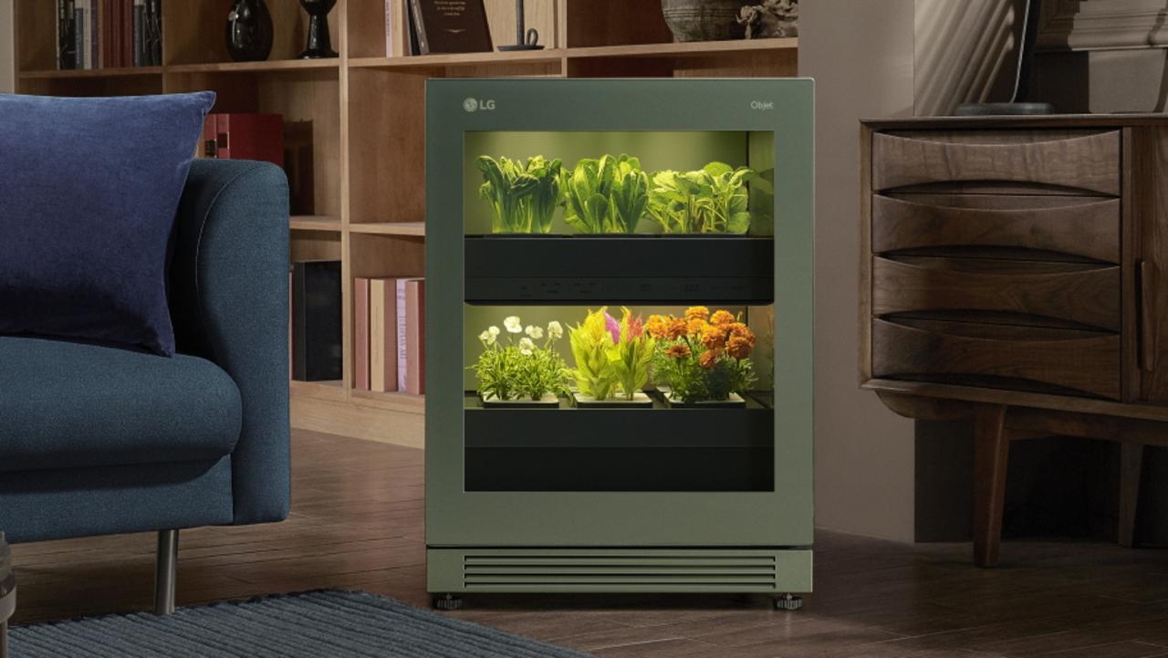 LG tiiun Seed Cabinet