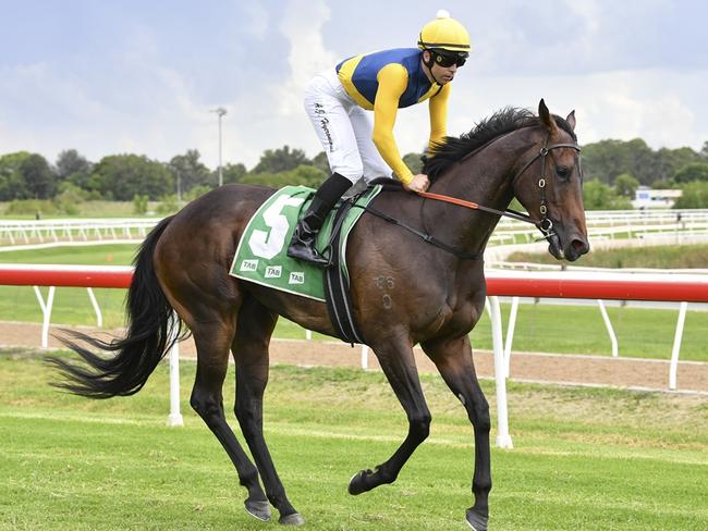 Hawkesbury, 13 February 2024, Winner - Bonita Queen, Jockey - Adam Hyeronimus. Picture: Bradley Photos