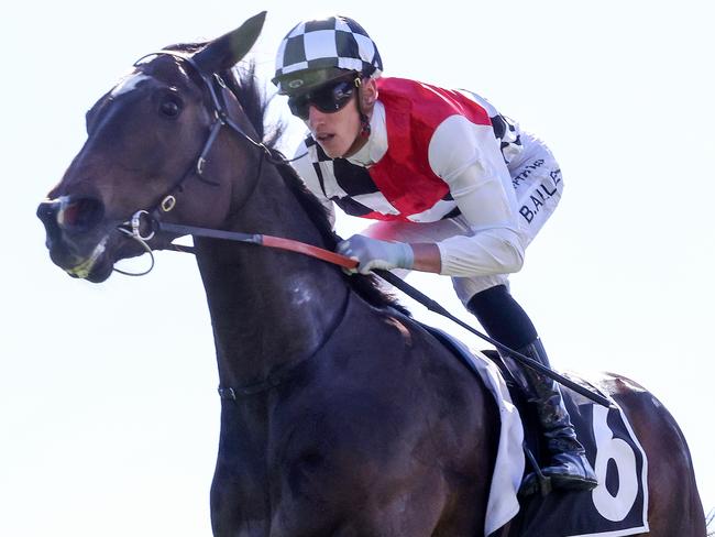 Lady Di Di has many factors pointing to a first-up win at Cranbourne on Thursday night. Picture: Racing Photos via Getty Images.