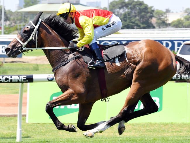 Exhibition Gallop.'Omei Sword' ridden by Kerrin McEvoy.