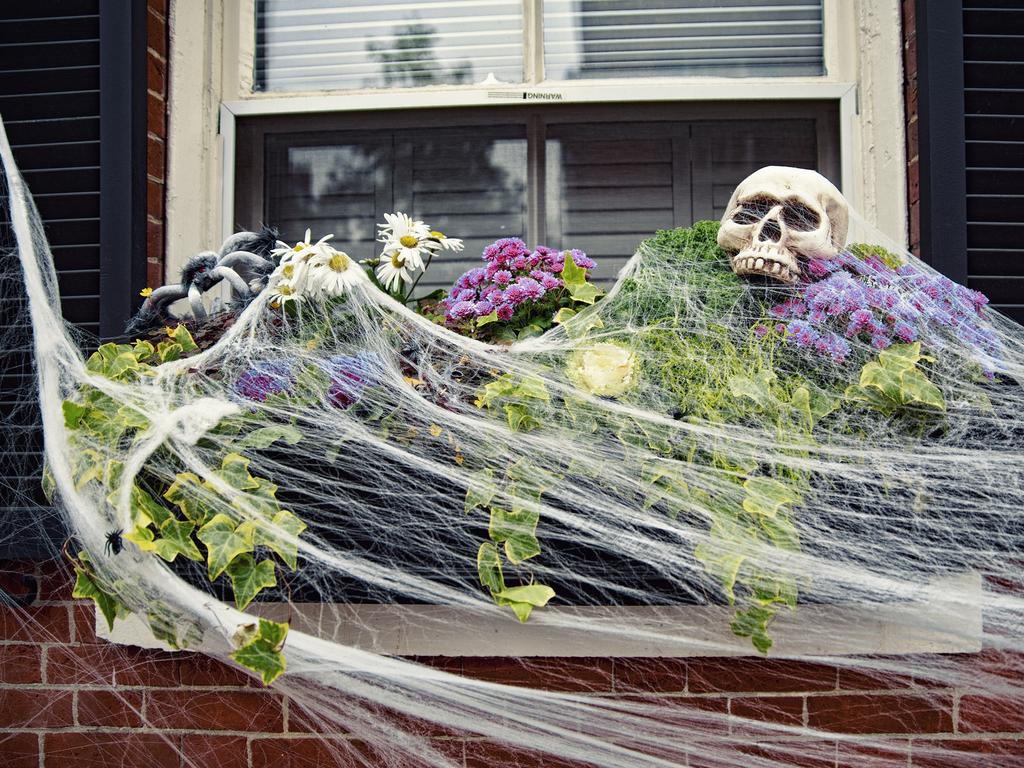 KIDS NEWS: Spider web, skull, spiders on the flowers outside the window. Halloween decorations. Picture: iStock