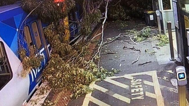 SES crews worked for about three hours to clear a fallen tree after it collapsed across Montmorency station and hit a train on Tuesday night.