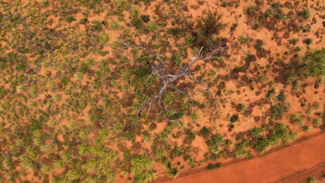 The vision is shot from a bird’s-eye perspective. Picture: Voyages indigenous Tourism Australia