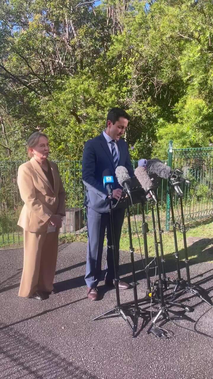 $17m in funding announced for Springbrook National Park