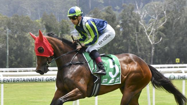 Dunaloce looks suited stepping up to 2000m fourth-up and looks hard to beat at Port Macquarie. Picture: Bradley Photo