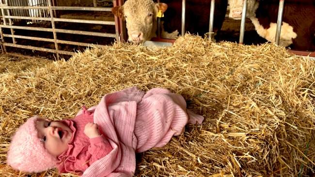 Baby Isabelle at the family's farm in central Wales. Picture: @farmergabs / CATERS NEWS - 