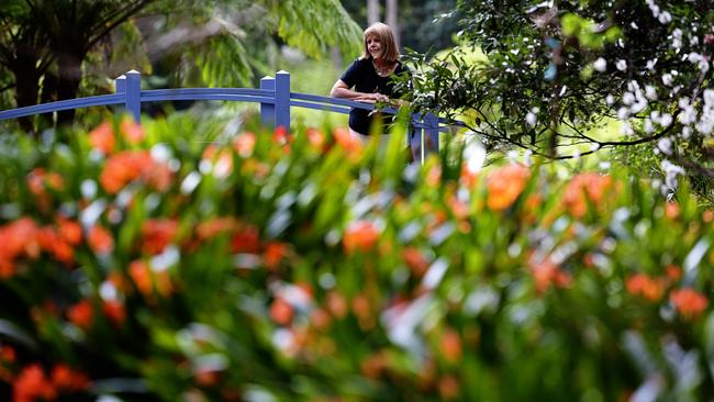 Chris Davison from Tamborine in the Gardens. Picture: Adam Head